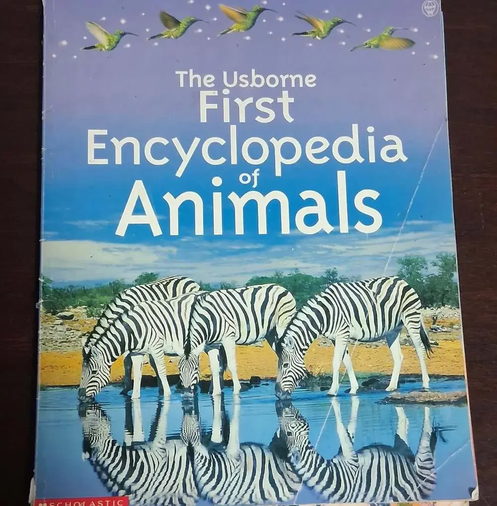Lot of 3 The Usborne First Encyclopedia Books (Animals, Science, and Our World)